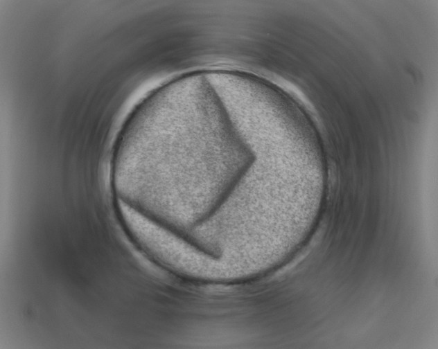 X0000113241424200910081249