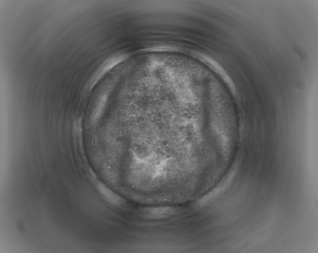 X0000113241425200910081249