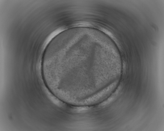 X0000113241426200910081249