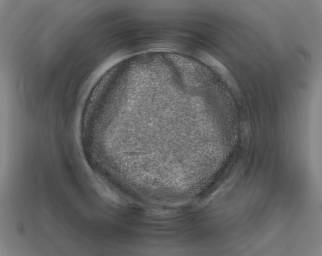 X0000113241427200910081249