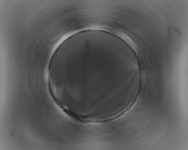 X0000113241428200910081249