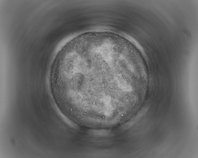 X0000113241429200910081249