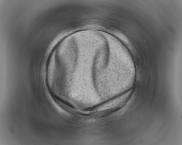 X0000113241430200910081249