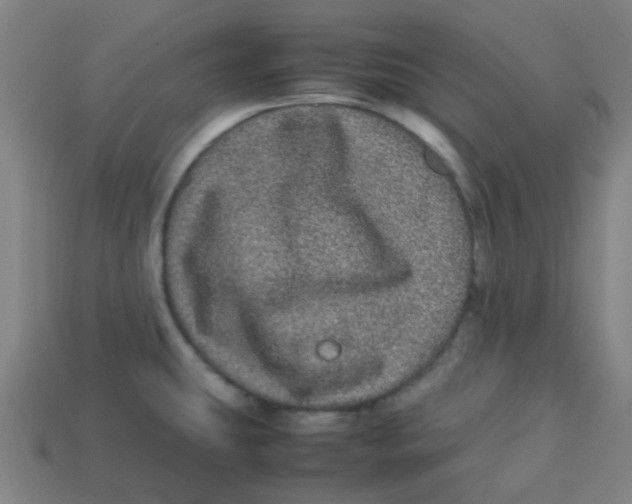 X0000113241431200910081249