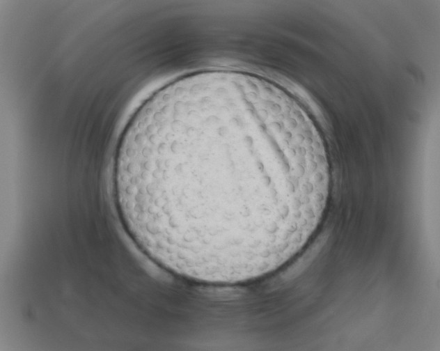 X0000113241432200910081249