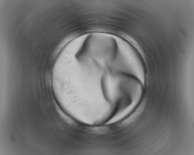 X0000113241433200910081249