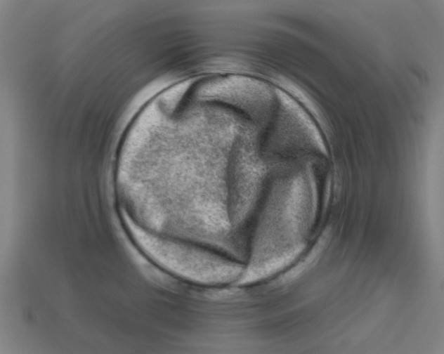 X0000113241434200910081249