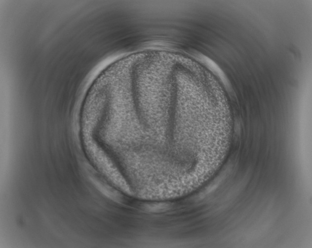 X0000113241435200910081249