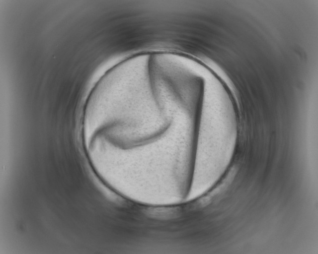 X0000113241437200910081249