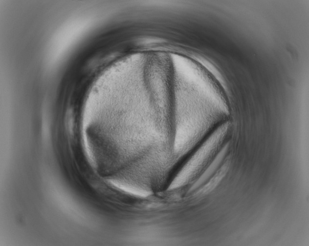 X0000113241438200910081249