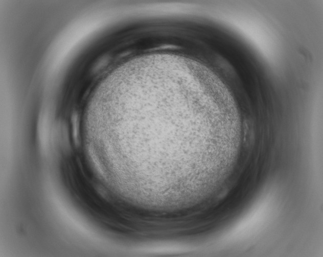 X0000113241439200910081249