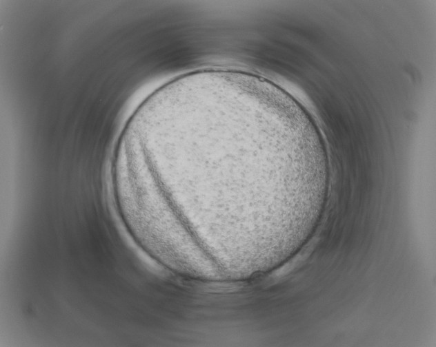 X0000113241440200910081249