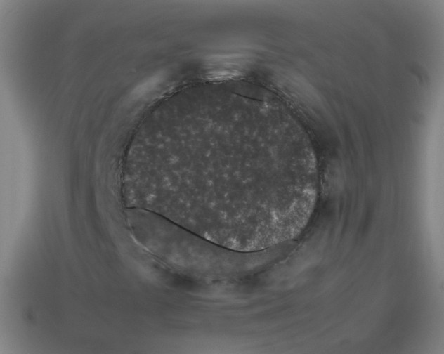 X0000113241441200910081248