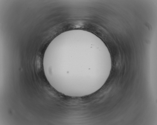 X0000113241442200910081248