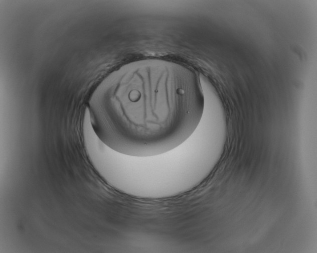 X0000113241444200910081248