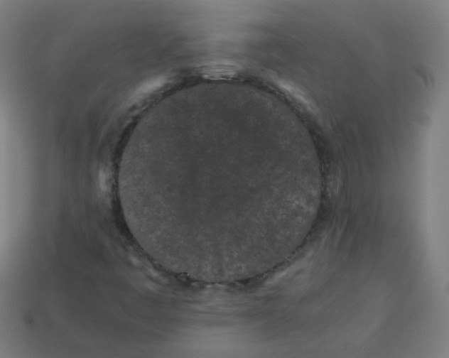 X0000113241445200910081248