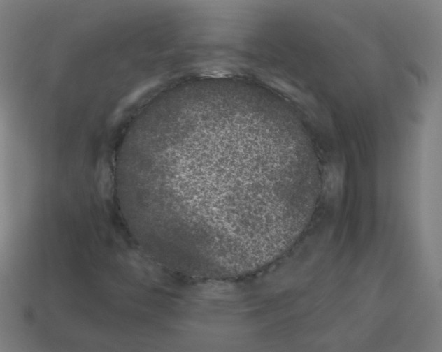 X0000113241446200910081248