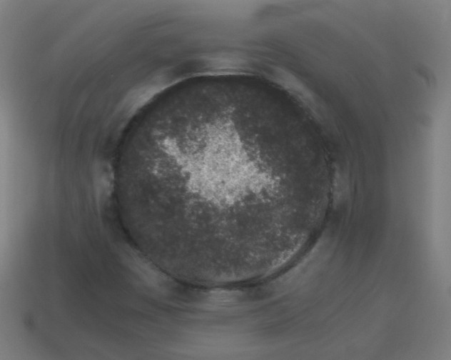 X0000113241449200910081248