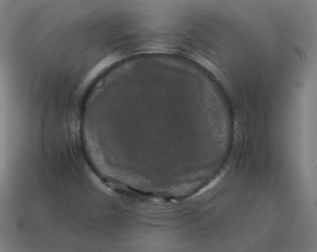 X0000113241450200910081248