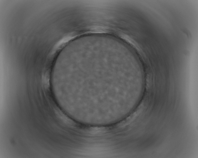 X0000113241451200910081248