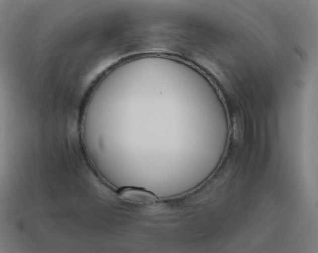 X0000113241452200910081248