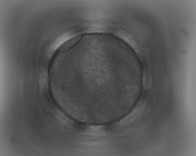 X0000113241453200910081248