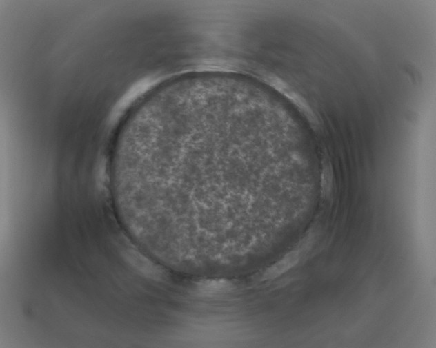 X0000113241454200910081248