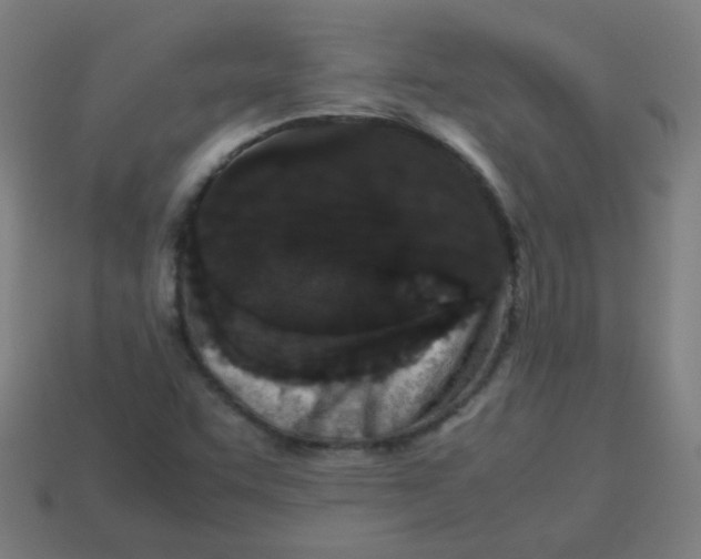 X0000113241455200910081248