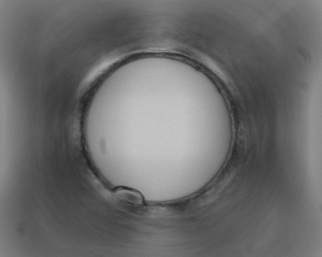 X0000113241456200910081248