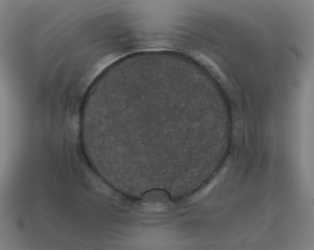 X0000113241457200910081248