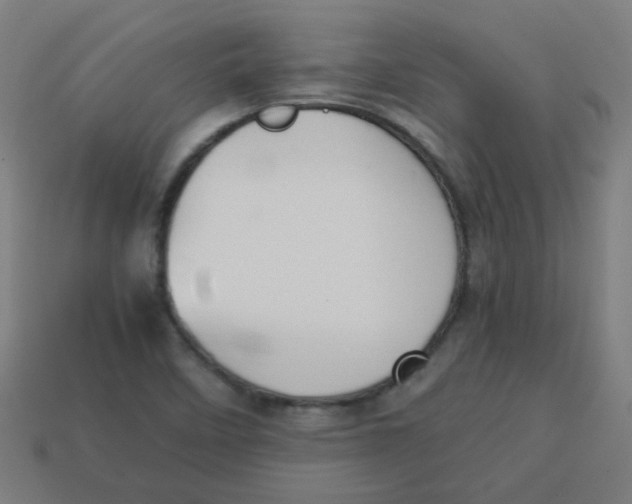 X0000113241458200910081248