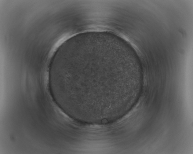 X0000113241459200910081248