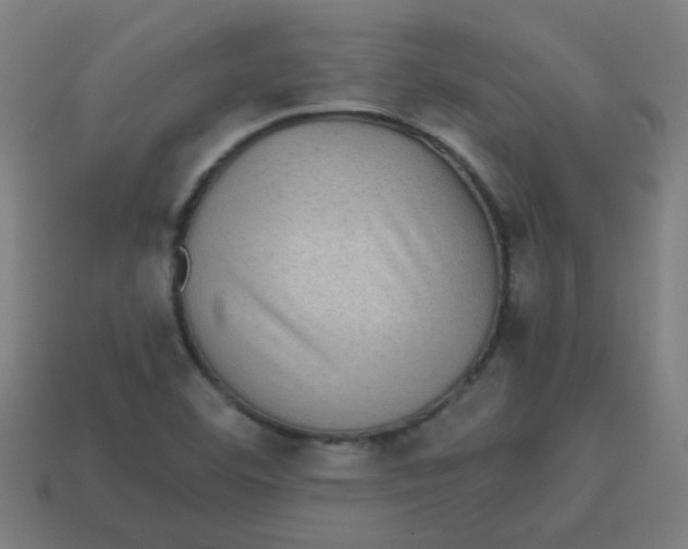 X0000113241460200910081248