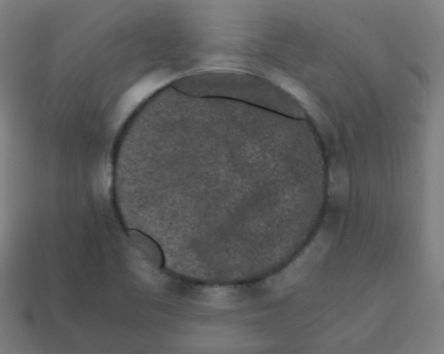 X0000113241461200910081248