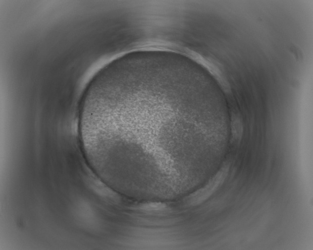 X0000113241462200910081248