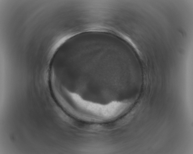 X0000113241463200910081248