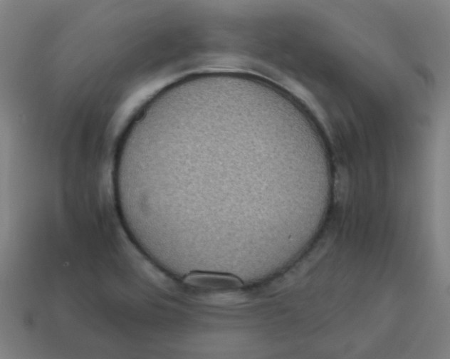 X0000113241464200910081248