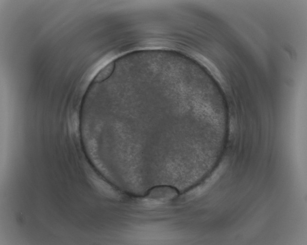 X0000113241465200910081248