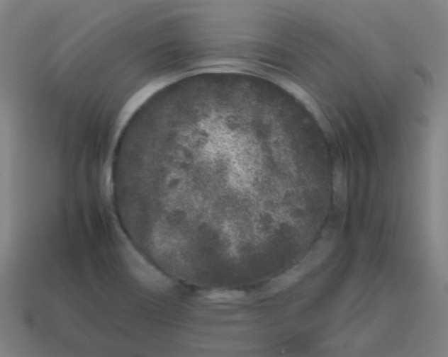 X0000113241466200910081248