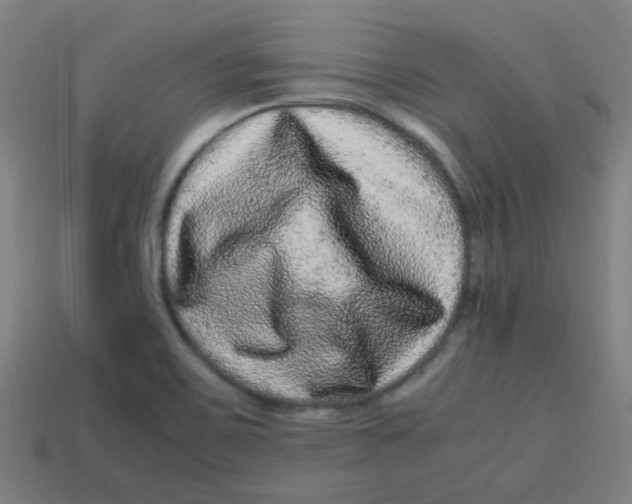 X0000113241467200910081248