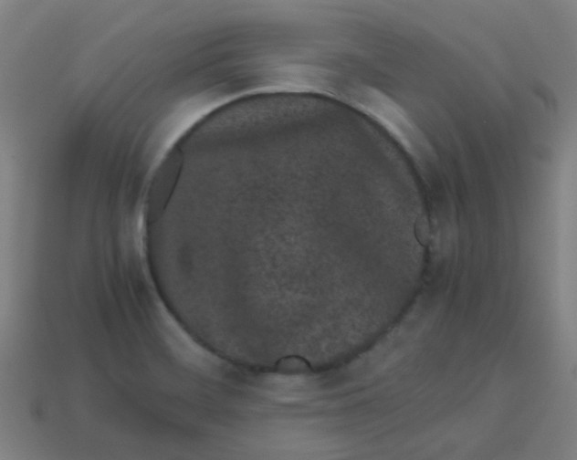 X0000113241468200910081248