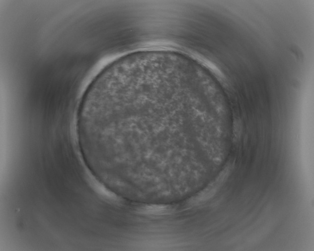 X0000113241470200910081248