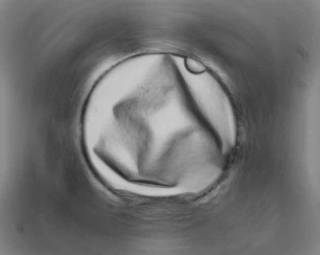 X0000113241471200910081248