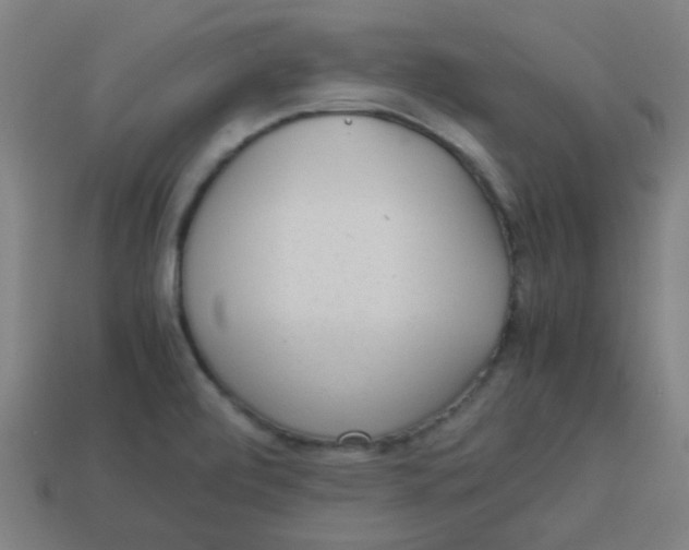 X0000113241472200910081248