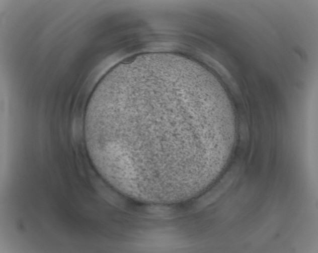 X0000113241473200910081248