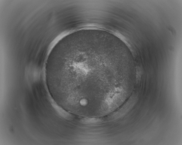 X0000113241474200910081248