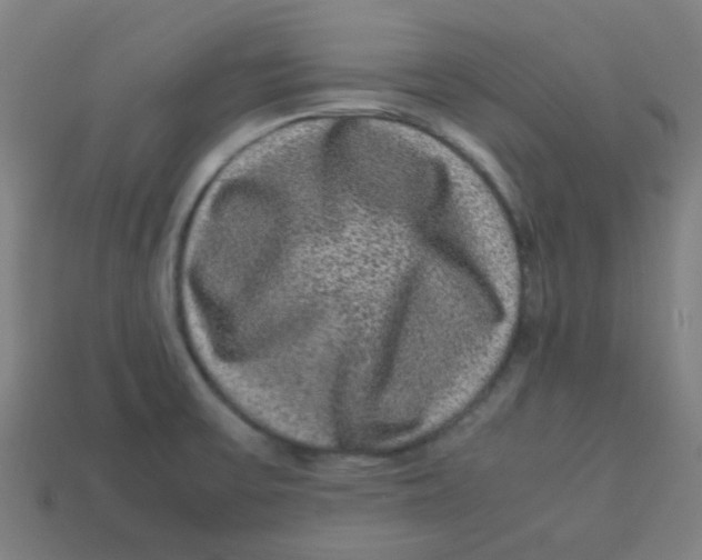 X0000113241475200910081248