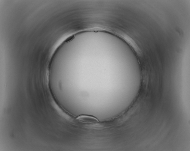 X0000113241476200910081248