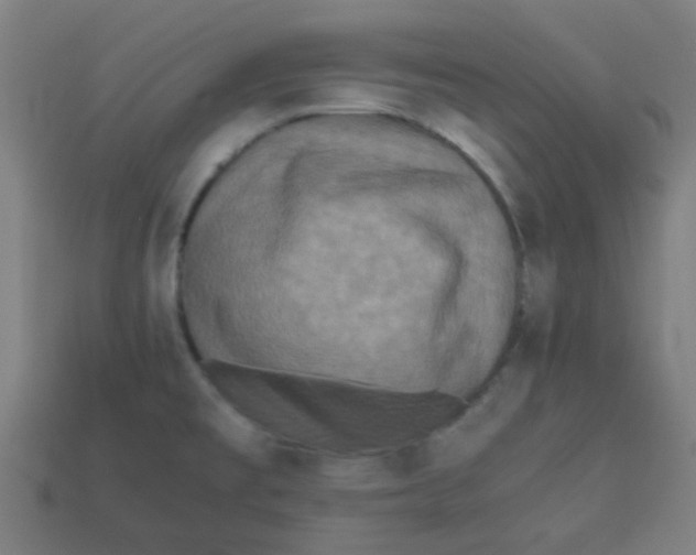 X0000113241477200910081248