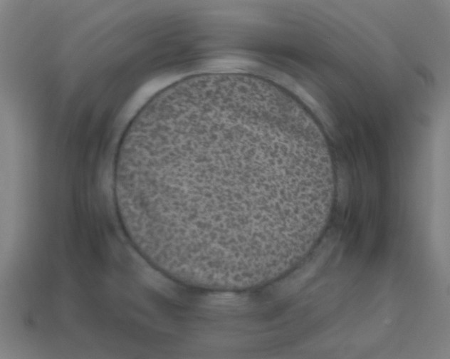 X0000113241478200910081248